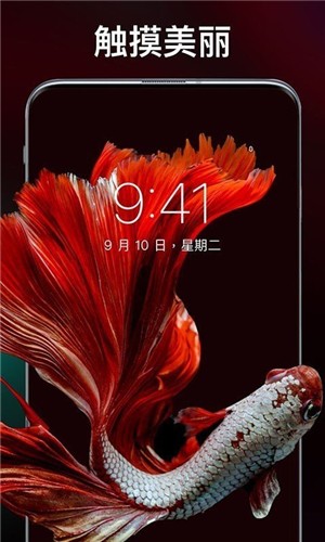 主题刘海壁纸(1)