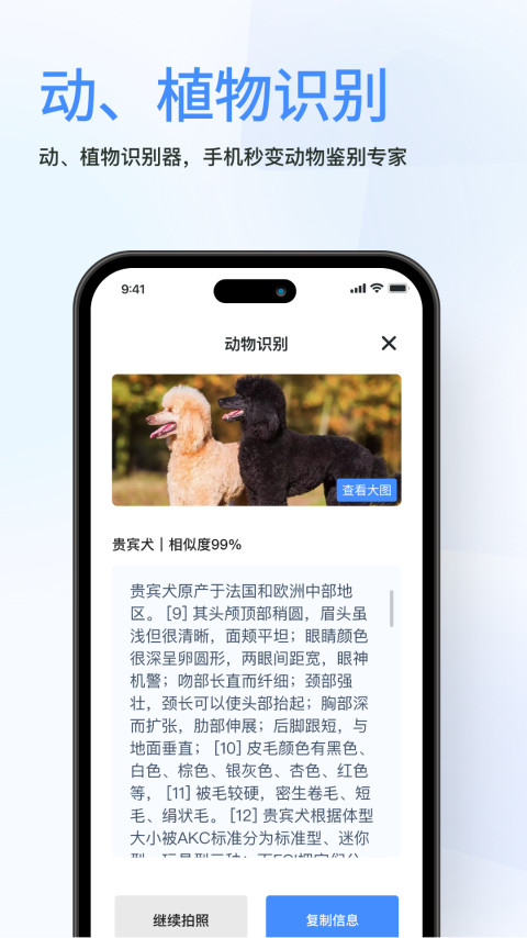 春枫扫描(2)