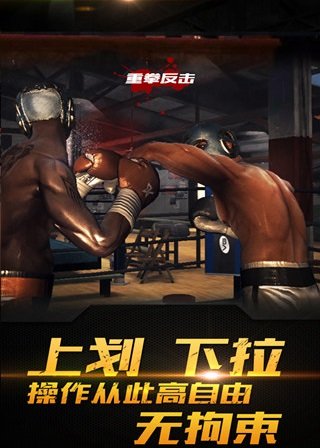拳击之王(3)
