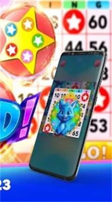 疯狂宾果游戏正版下载安装图片1