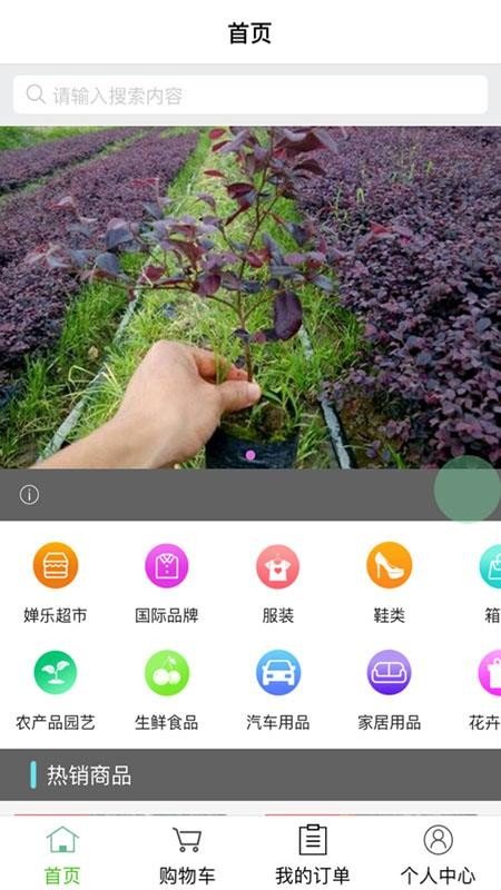 婵乐购(1)