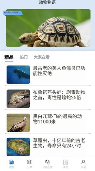 动物物语(1)