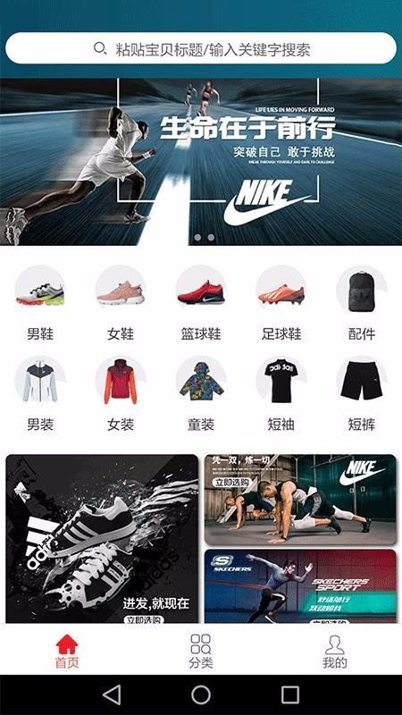 网兜(3)