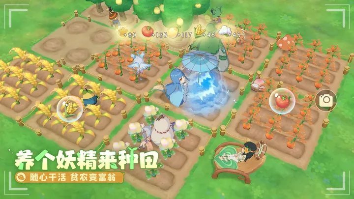 织梦森林测试服(2)