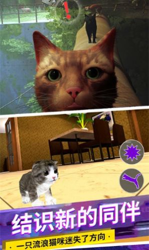 猫咪城市模拟器(2)