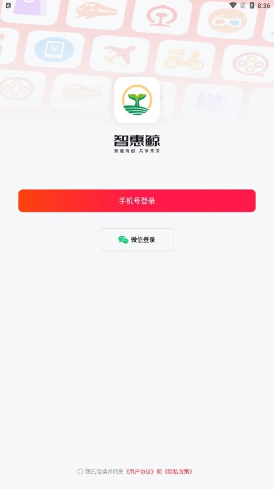 智惠鲸(1)