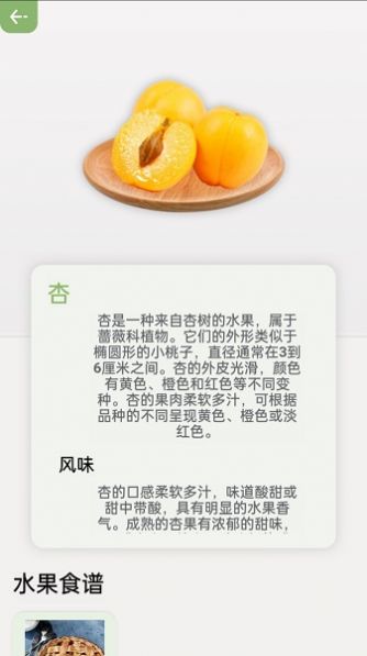 指尖果园(3)