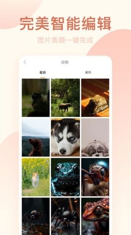 剪映相机(2)