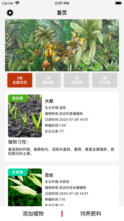 玉玲珑(1)