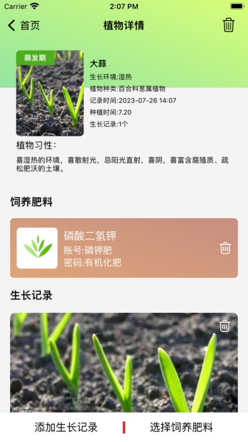玉玲珑(2)