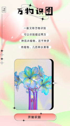 万物识图大师(2)