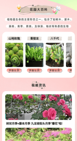 万物识图大师(1)