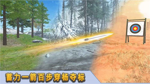 射箭达人(3)