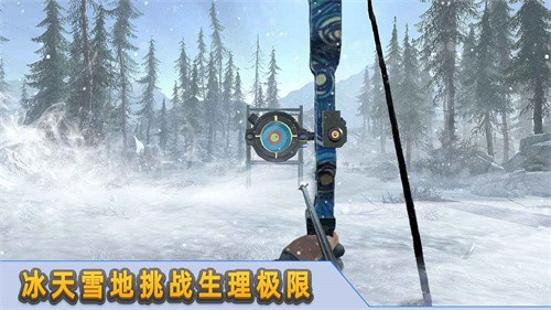 射箭达人(4)