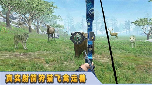 射箭达人(5)
