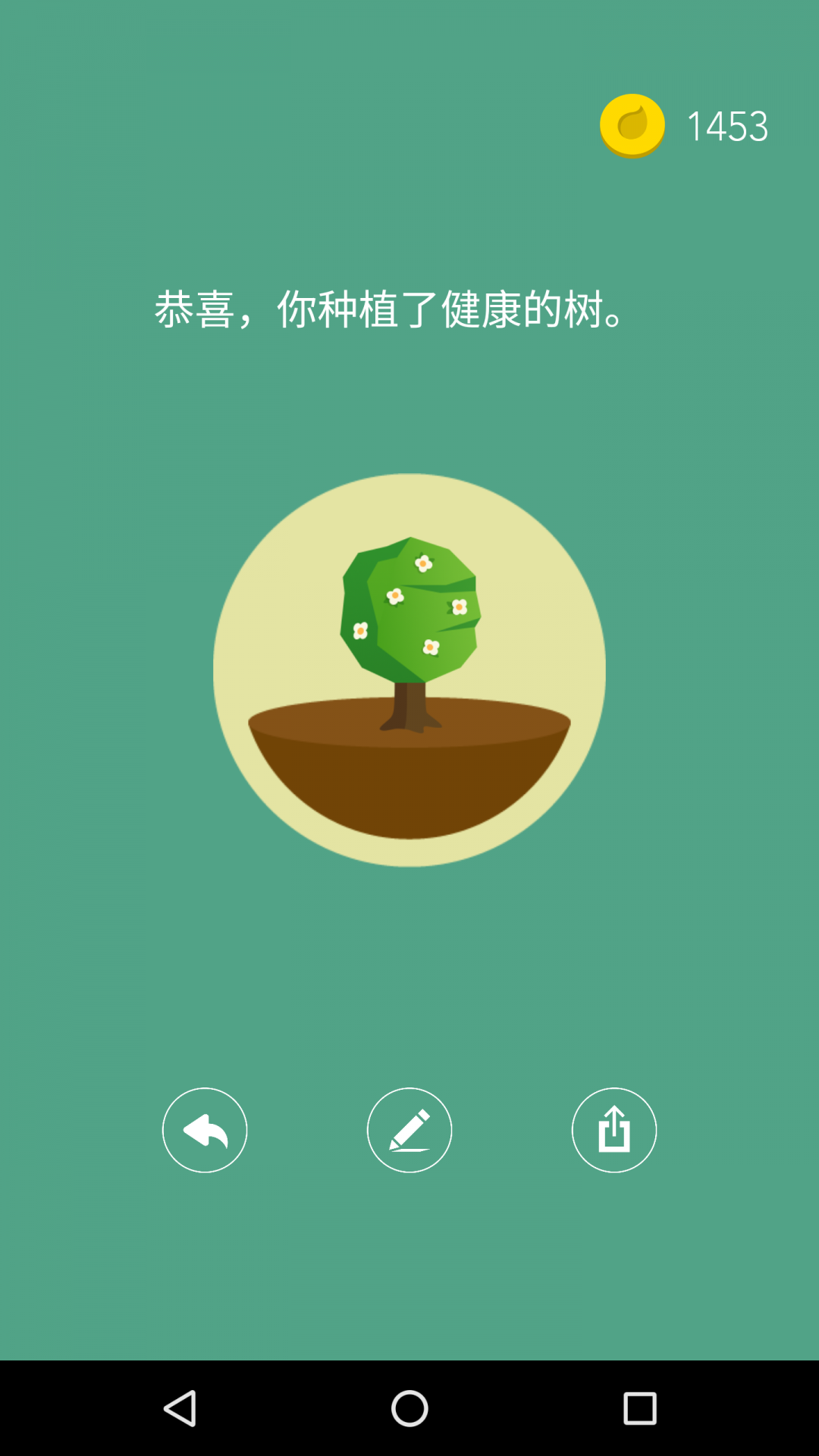 Forest专注森林(1)