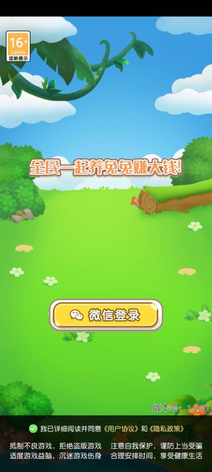 可爱的兔子(1)