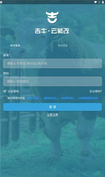 吉牛云繁改(1)