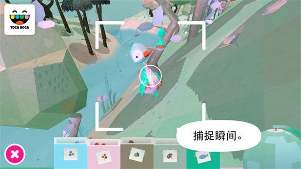 托卡大自然(2)