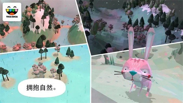 托卡大自然(3)