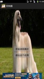百狗图(4)