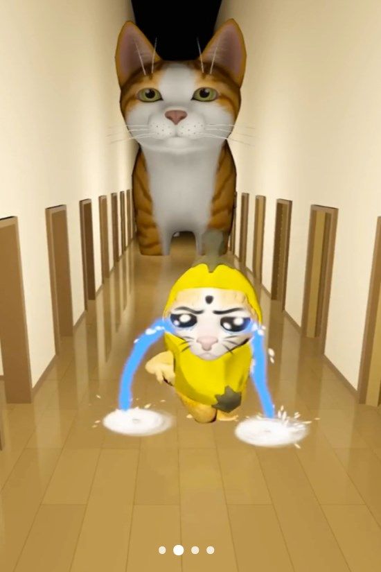 香蕉猫大作战(3)