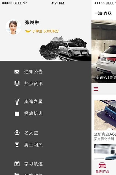 奥迪e训(2)