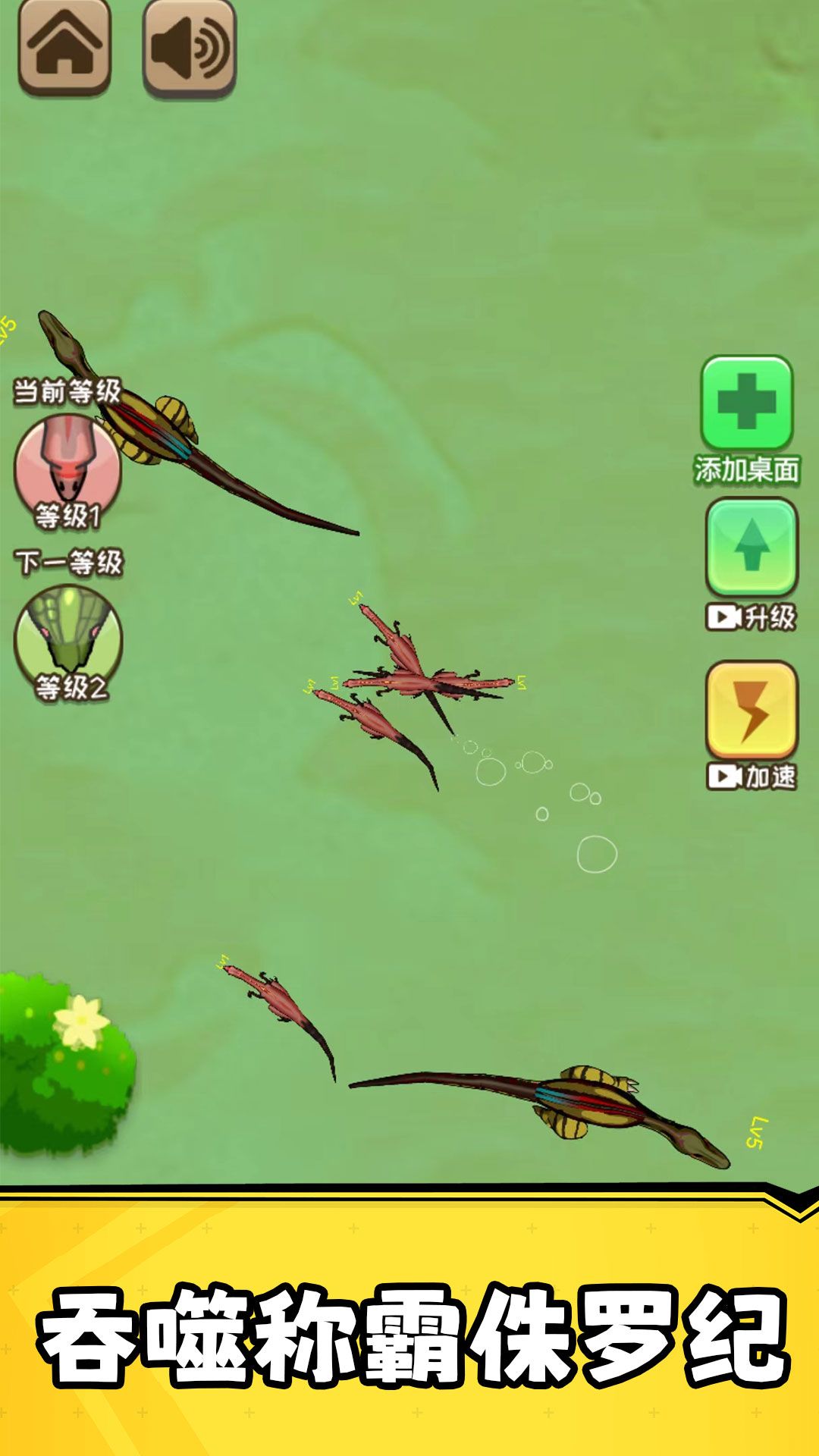 霸王龙争霸(3)