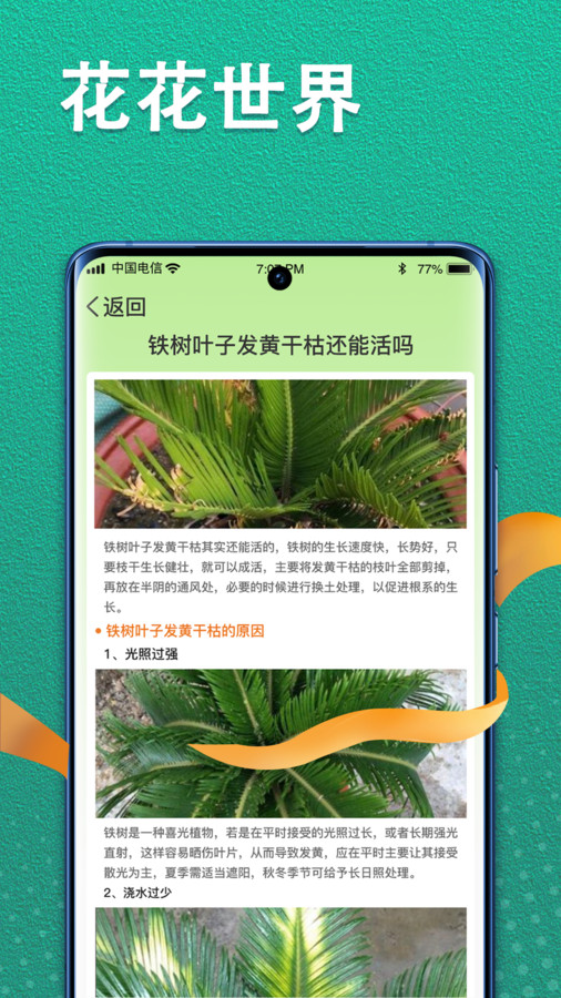 植物视界(2)