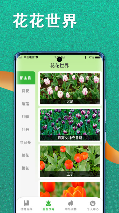 植物视界(3)