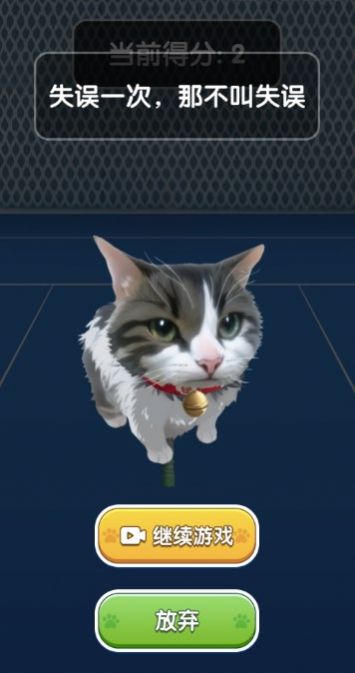 猫咪网球(1)