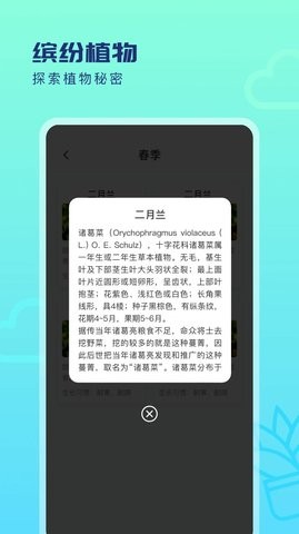 缤纷四季(2)