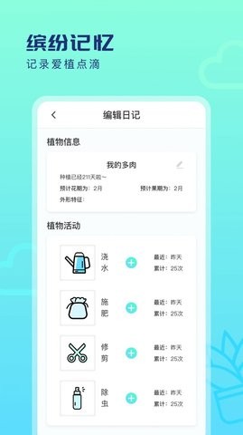 缤纷四季(4)