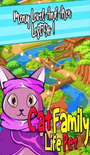 猫咪家庭生活宠物(3)