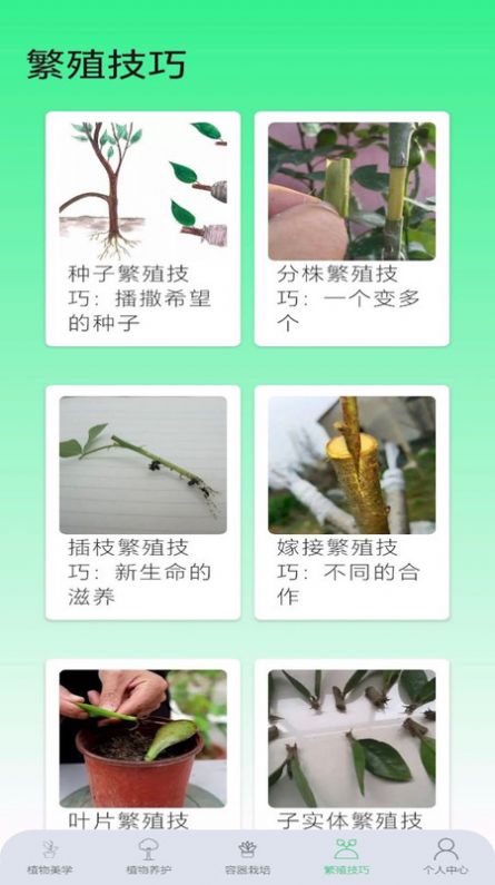 果园管家(2)
