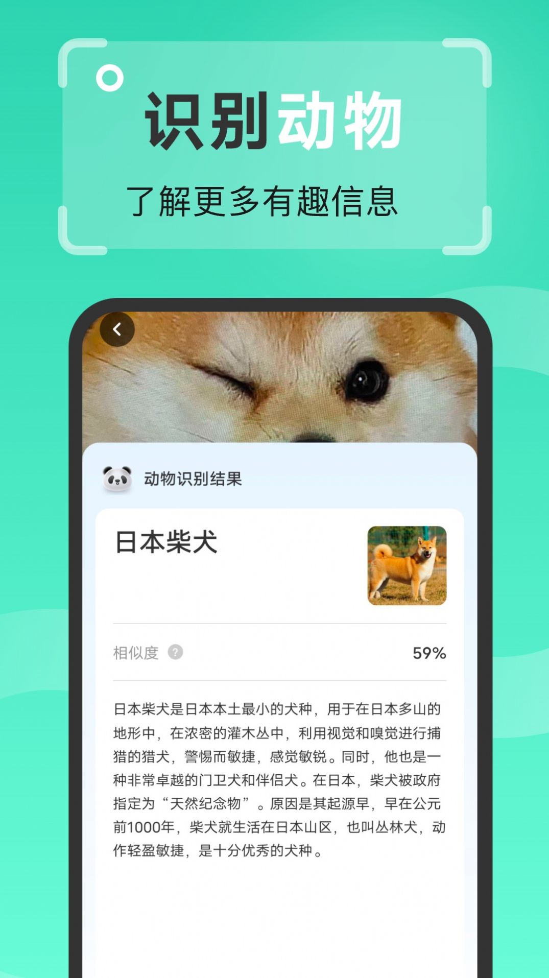 强效扫描王(1)