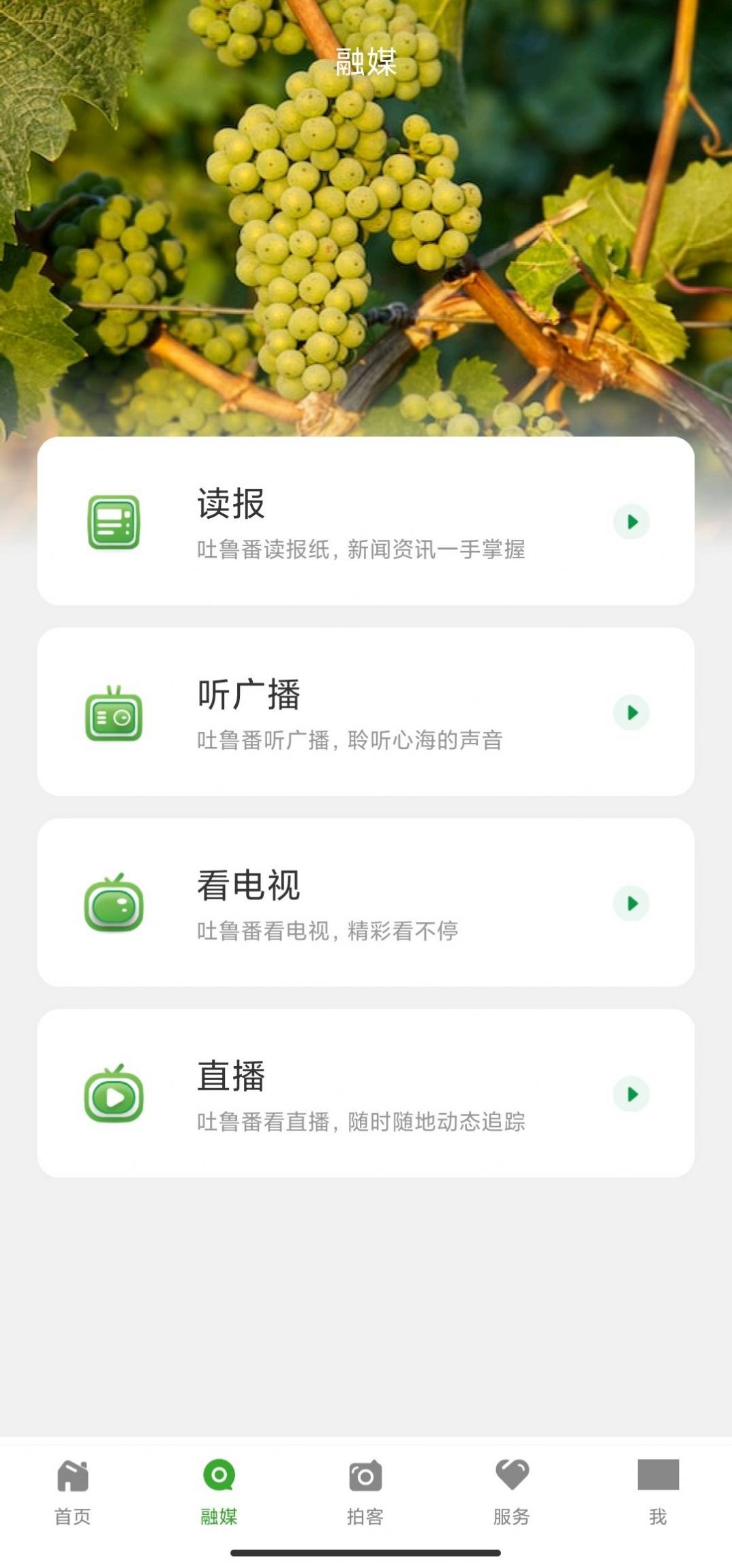 葡萄熟了(1)
