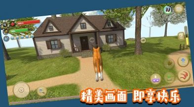 哈哈宠物养成(1)