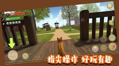哈哈宠物养成(3)