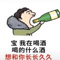 宝我在喝酒喝的什么酒想和你长长久久图片表情包(4)