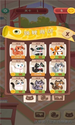 快给猫玩.jpg