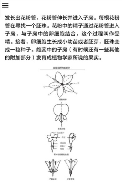 野外植物识别手册(2)