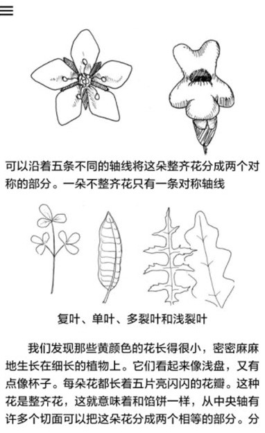 野外植物识别手册(3)