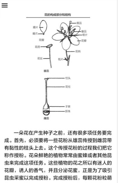 野外植物识别手册(4)