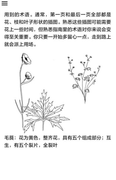 野外植物识别手册.jpg