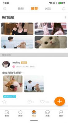 豚缘交友(3)