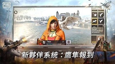 绝地求生低配版.jpg