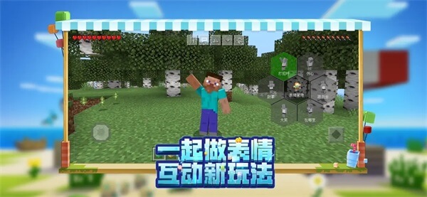 我的世界minecraft基岩版(3)