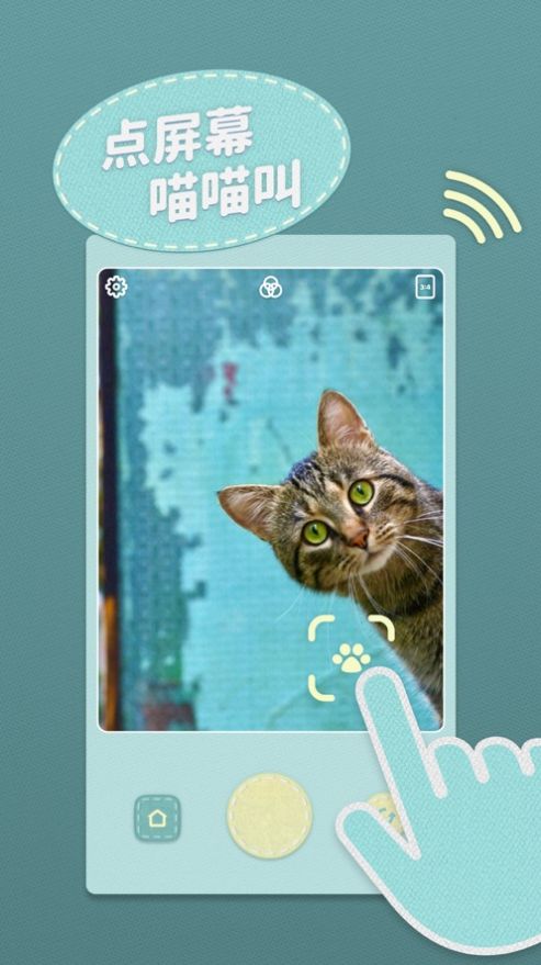 HeyPet(2)