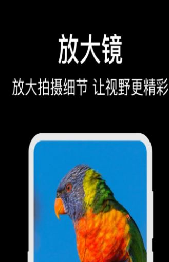 手机字体放大镜.jpg